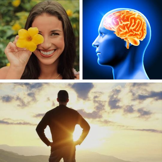 Físico, mental e social Físico, mental e social